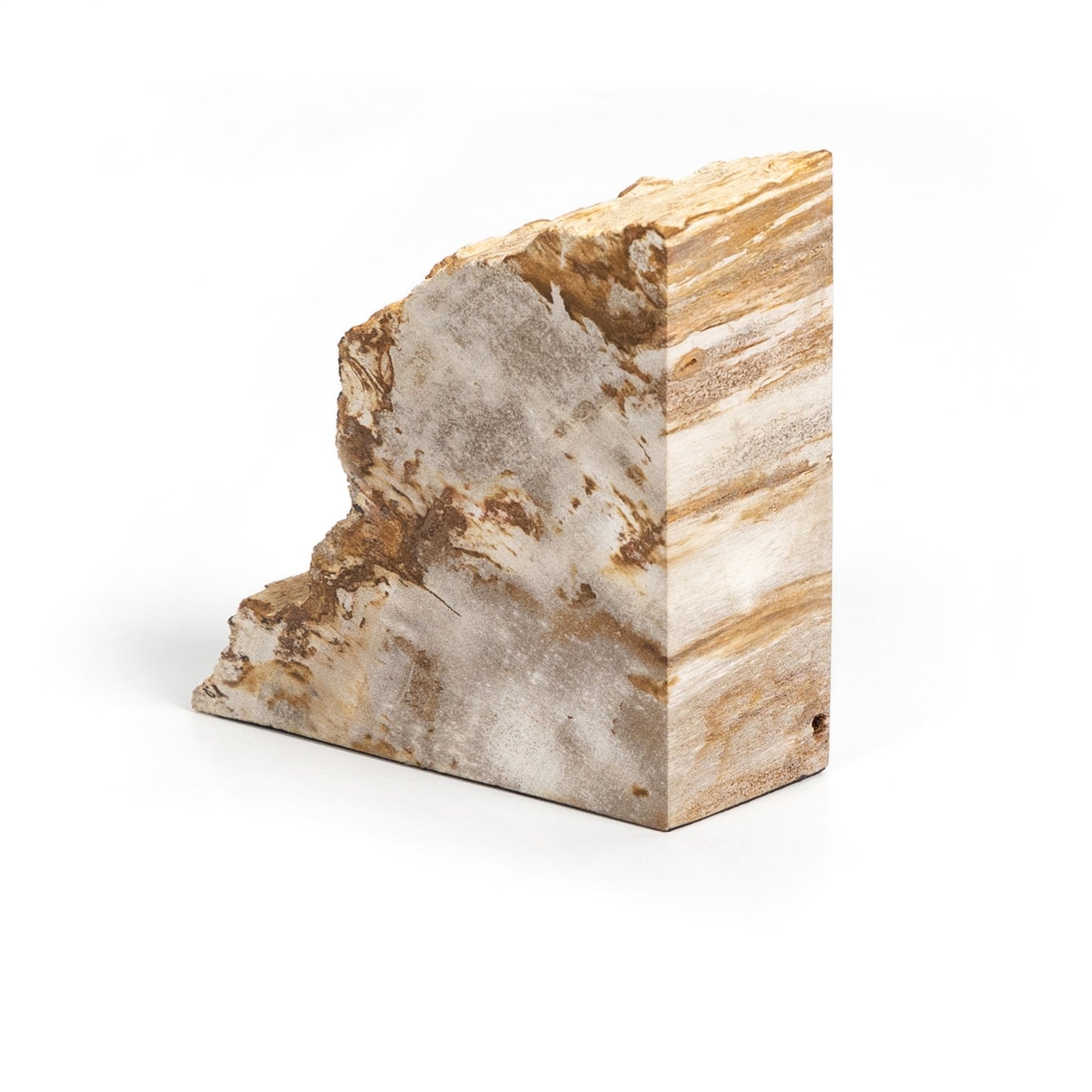 PETRIFIED WOOD BOOK ENDS